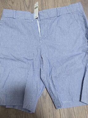 Banana Republic Blue and White Seersucker Flat-Front Shorts